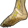 icon_foot