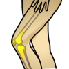 icon_knee