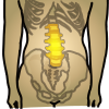 icon_lumbar